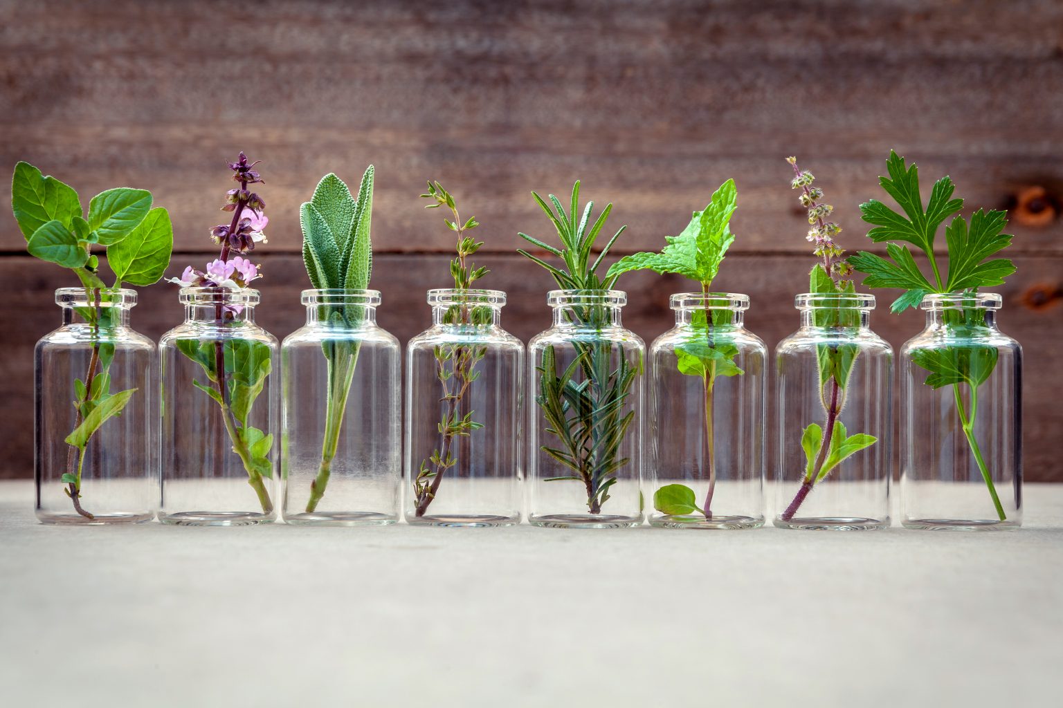 olejek-z-oregano to naturalny środek przecwi przeziębieniu